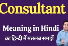 Consultants in Hindi
