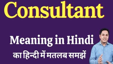 Consultants in Hindi