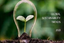 Trends in Sustainability Worldwide