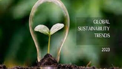 Trends in Sustainability Worldwide