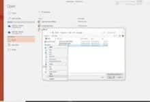Which File Format Can Be Added to a PowerPoint Show?