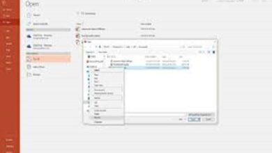 Which File Format Can Be Added to a PowerPoint Show?