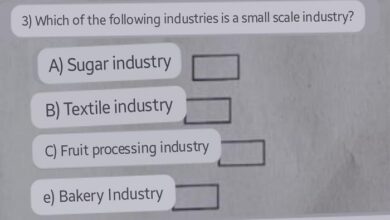 Which of the Following Is a Small Industry?