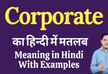 Corporate Sector Meaning