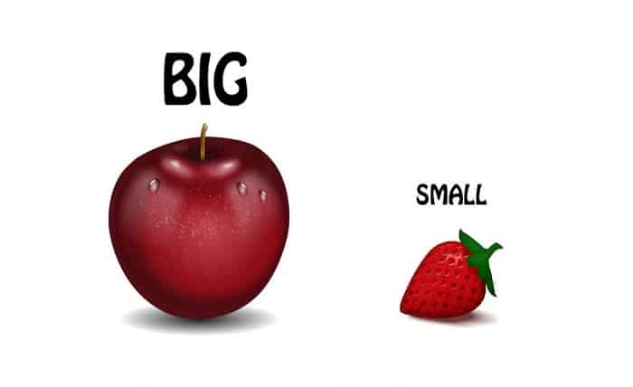 Big Small.in