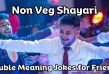 non veg shayari