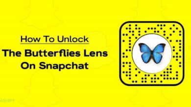 Unlock the Butterflies Lens on Snapchat