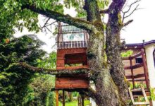 conservative treehouse