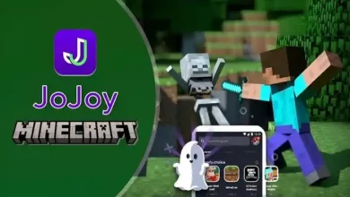 Jojoy Minecraft