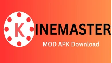 KineMaster Mod APK