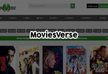 moviesverse