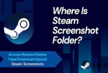 steam screenshot folder