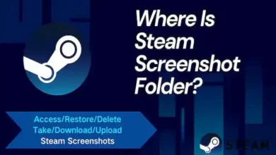 steam screenshot folder
