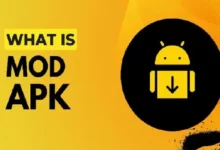 VN Mod APK
