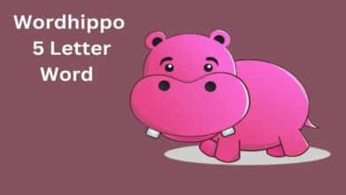 wordhippo 5 letters