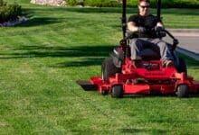 mexican lawnmowers