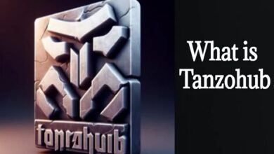 tanzohub