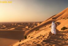 abenddÃ¼nen buggy fahrt 30 minuten mit dem auto dubai mit wÃ¼stensafari