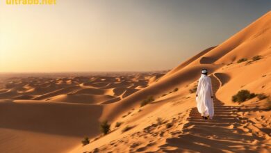 abenddÃ¼nen buggy fahrt 30 minuten mit dem auto dubai mit wÃ¼stensafari