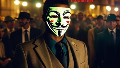 anonymus story view