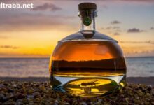 degustación privada de whisky de 3 horas en idstein highlands vs islands