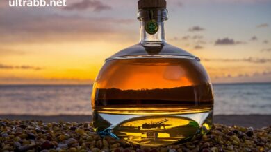 degustación privada de whisky de 3 horas en idstein highlands vs islands