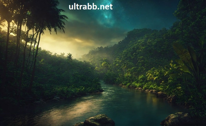 heart for a sunrise nguyen duy tri • jungle of you • 2022