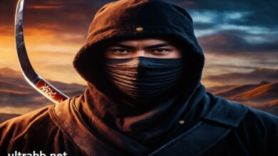 creditninja news