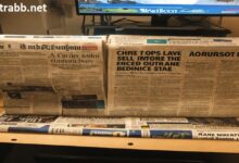 sidney daily news obits