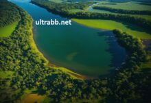 tn river valley news