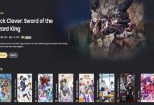 Aniwatch New Name